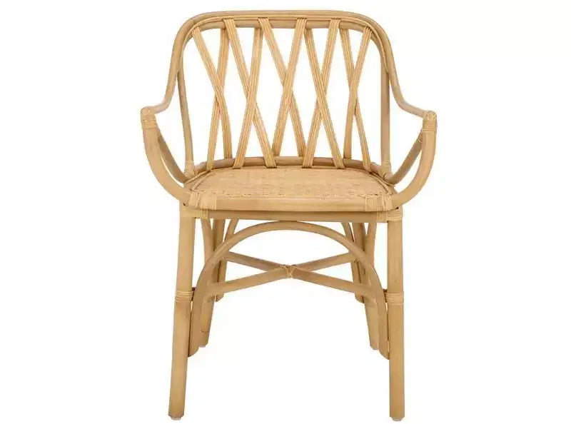 Serafima Rattan Arm Chair - ACH6702 - Safavieh