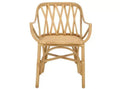 Serafima Rattan Arm Chair - ACH6702 - Safavieh